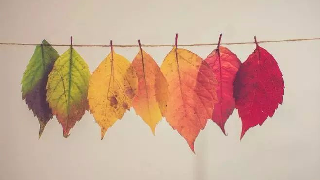 每一分善意都值得呵护 每一分善意都值得呵护